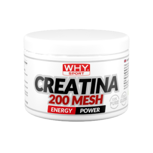CREATINA 200 MESH 200-500 g