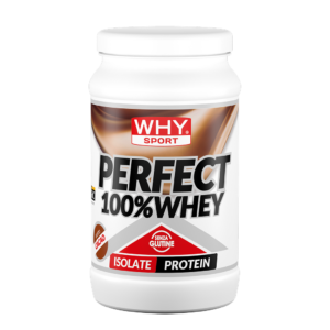 PERFECT 100% WHEY 450 g