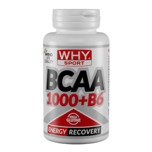 BCAA 1000 + B6 100-200-300 cpr