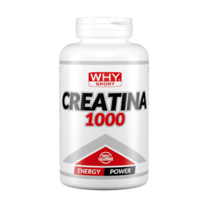 CREATINA 1000 240 cpr